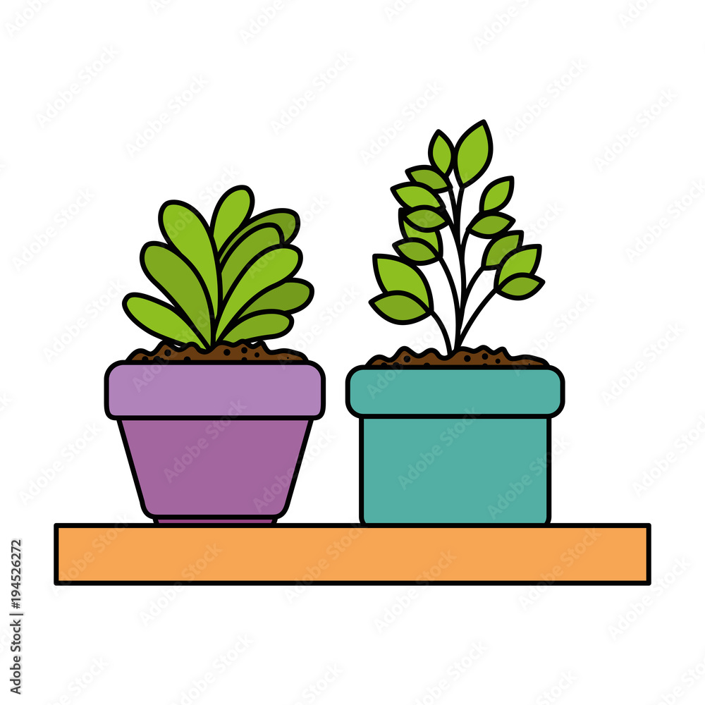 Obraz premium beautiful houseplants set in wooden shelf vector illustration design