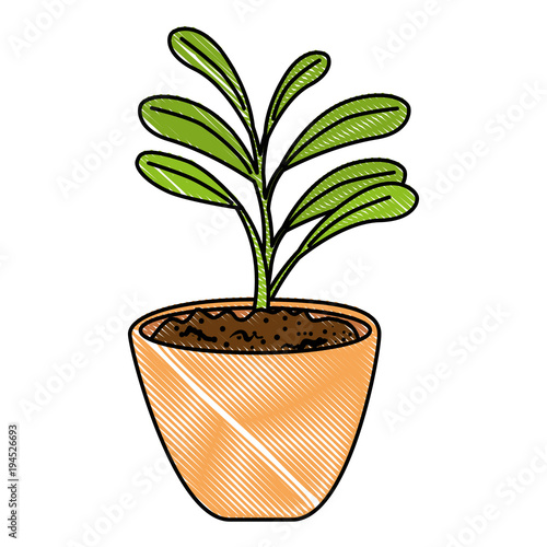 beautiful houseplant in pot vector illustration design