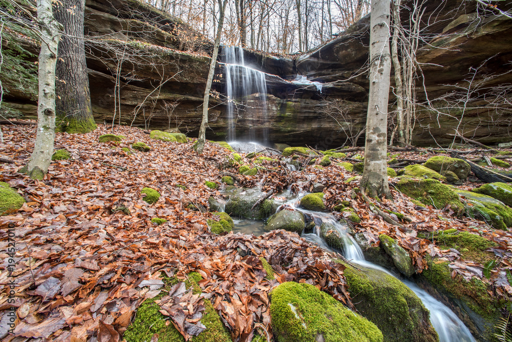 Fototapeta premium Waterfall in Kentucky