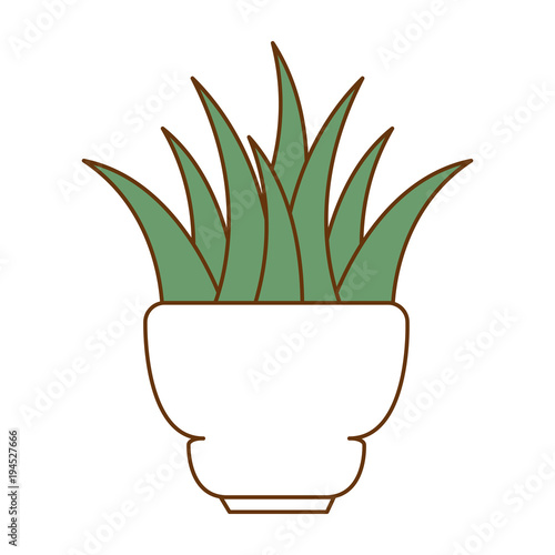 beautiful houseplant in pot vector illustration design