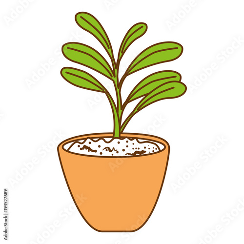 beautiful houseplant in pot vector illustration design