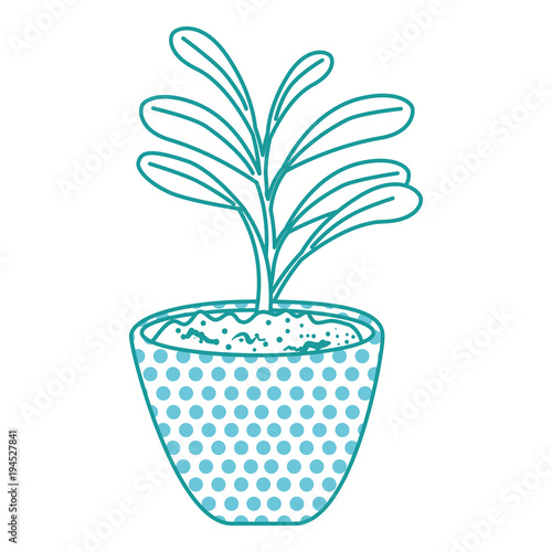beautiful houseplant in pot vector illustration design