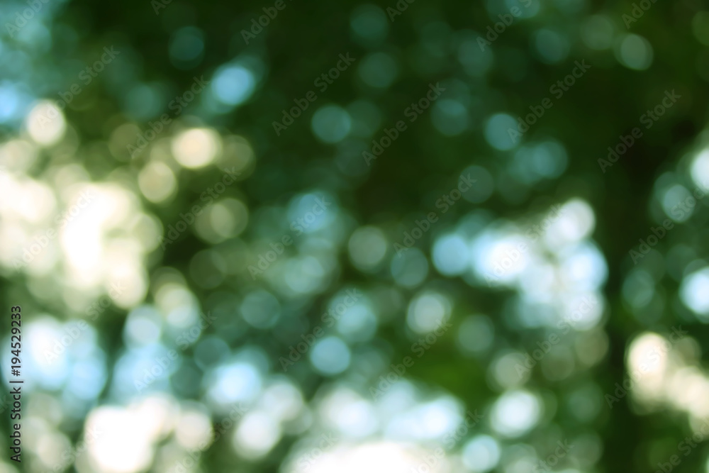 Nature green bokeh background. Nature green bokeh background.