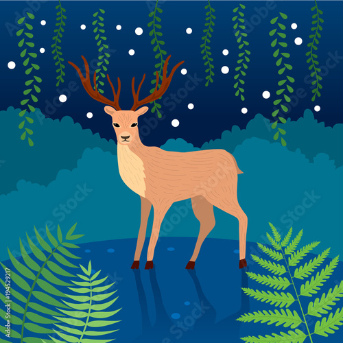 Cartoon cute Deer in the jungle at night vector