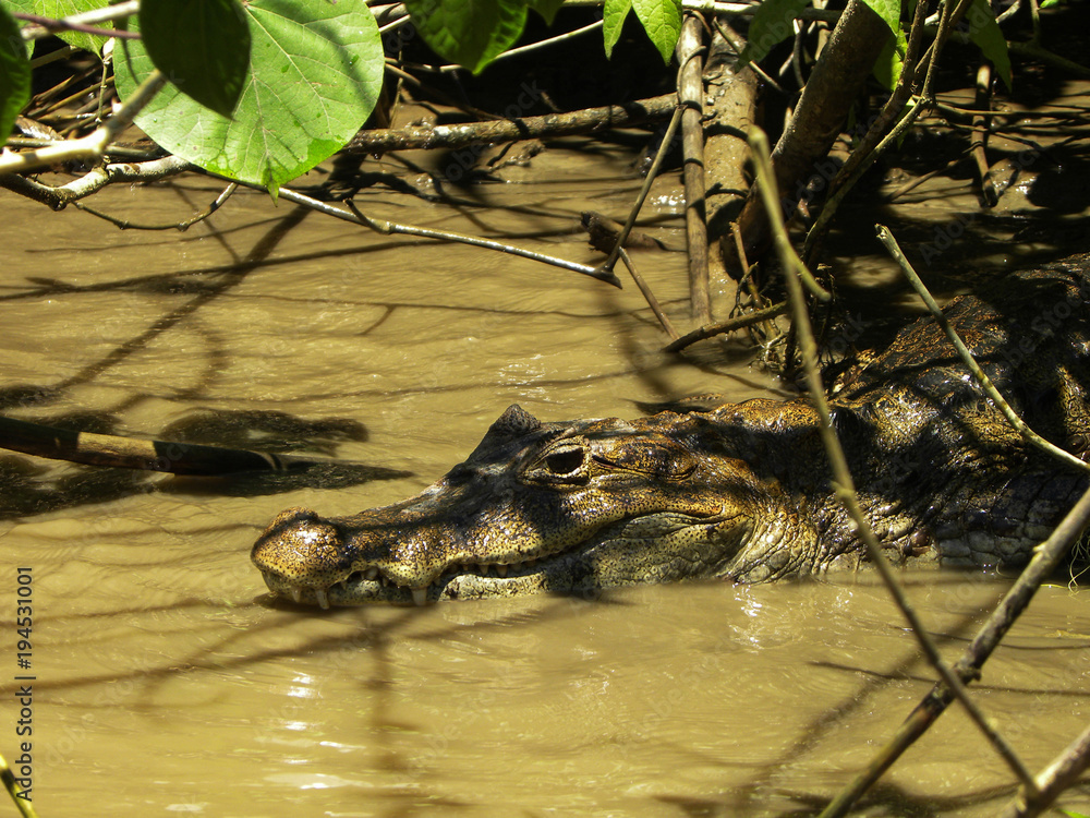Costa Rica