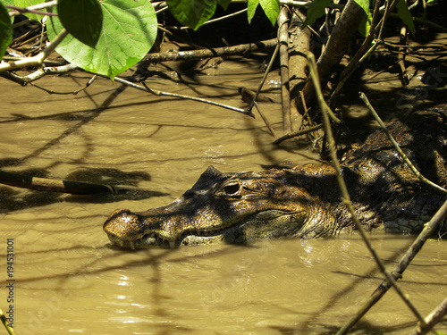 Costa Rica