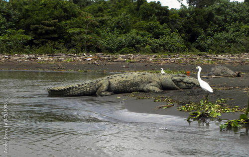 Obraz na płótnie Costa Rica w salonie