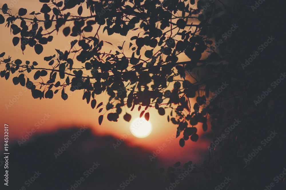 Sunset
