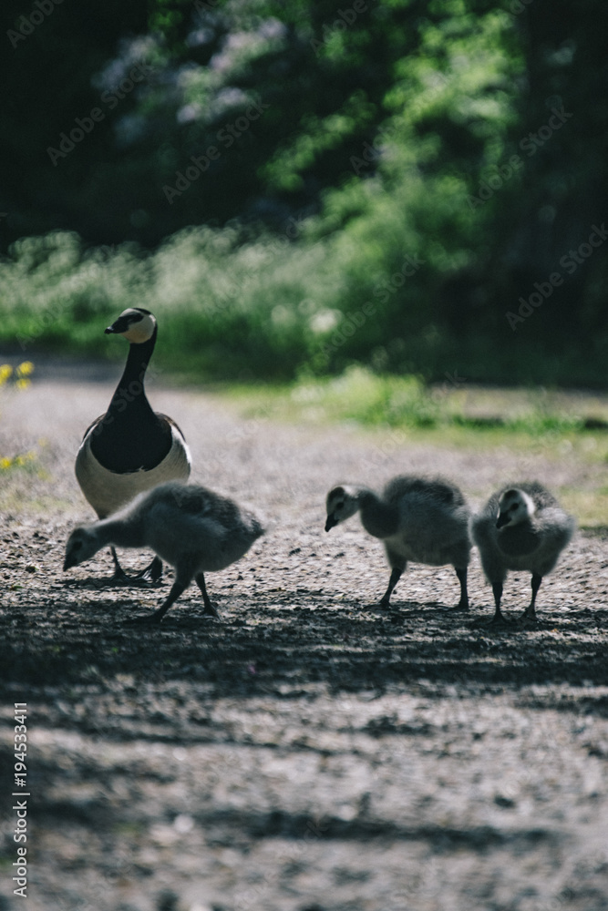 Family