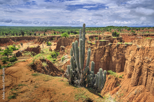 Tatacoa desert, Huila, Tolima, Colombia photo