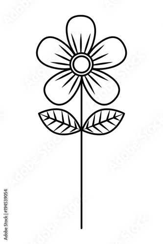 flower stem petals decoration nature vector illustration thin line