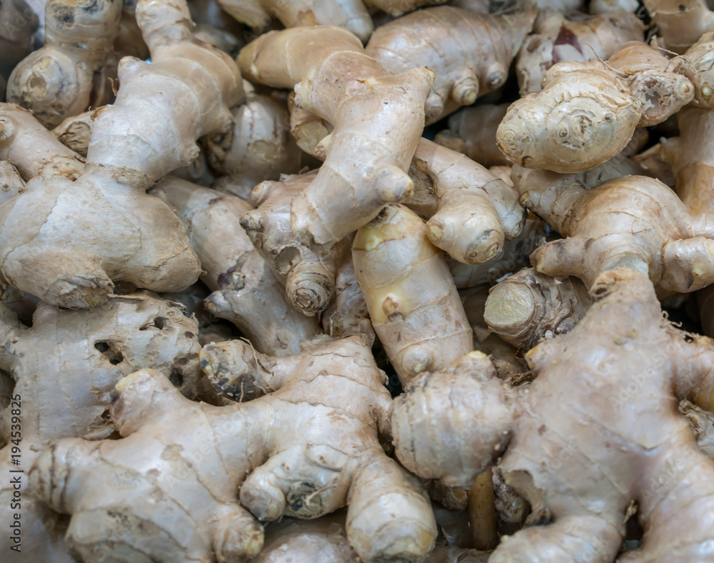 Closed up ginger root with skin for seamless pattern Closed up ginger root with skin for seamless pattern