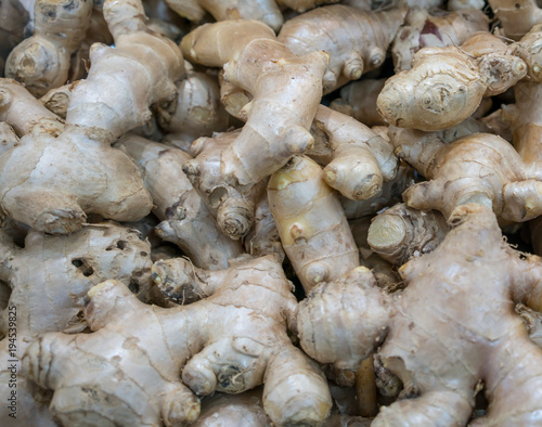Closed up ginger root with skin for seamless pattern