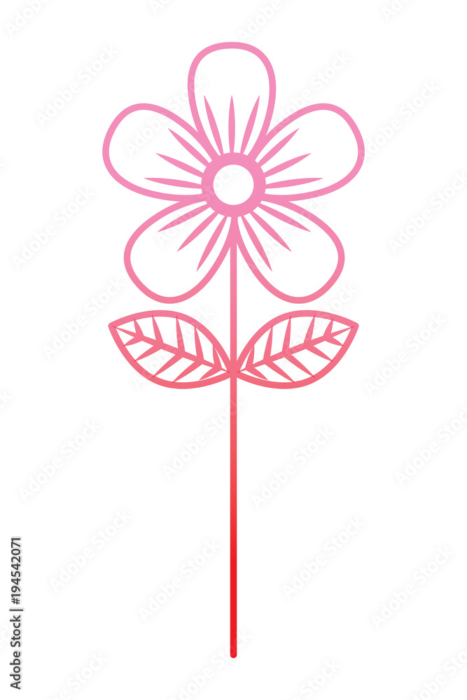 flower stem petals decoration image vector illustration degrade color line flower stem petals decoration image vector illustration degrade color line