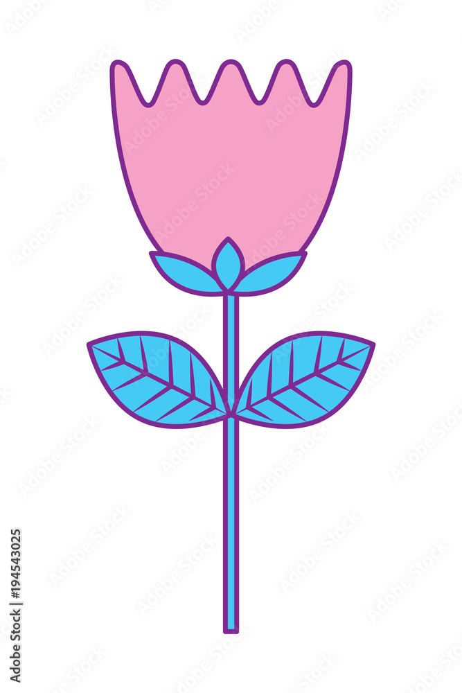flower tulip stem petals decoration vector illustration pink and blue design flower tulip stem petals decoration vector illustration pink and blue design