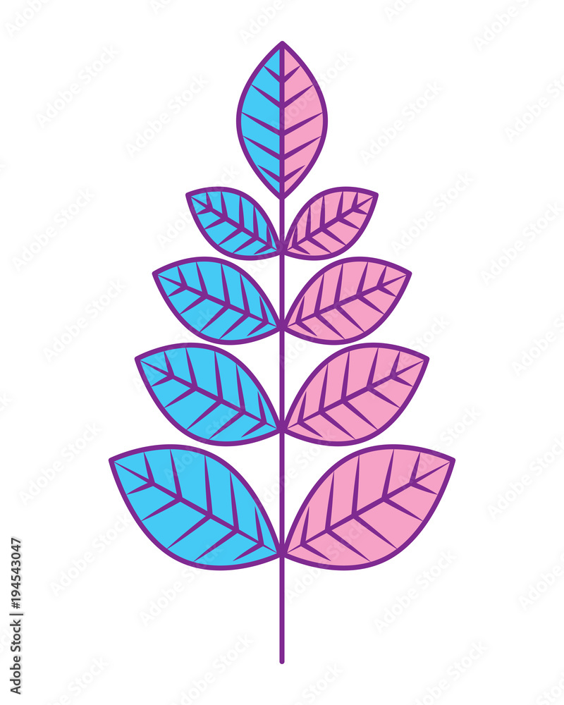 leaves branch decoration natural image vector illustration pink and blue design