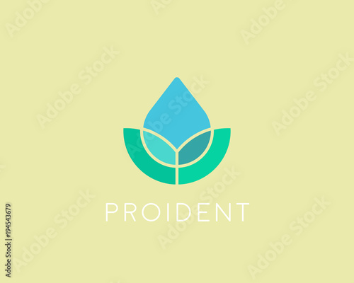 Eco water drop logotype. Leaf spa flower vector logo