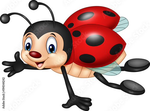 Cartoon funny ladybug