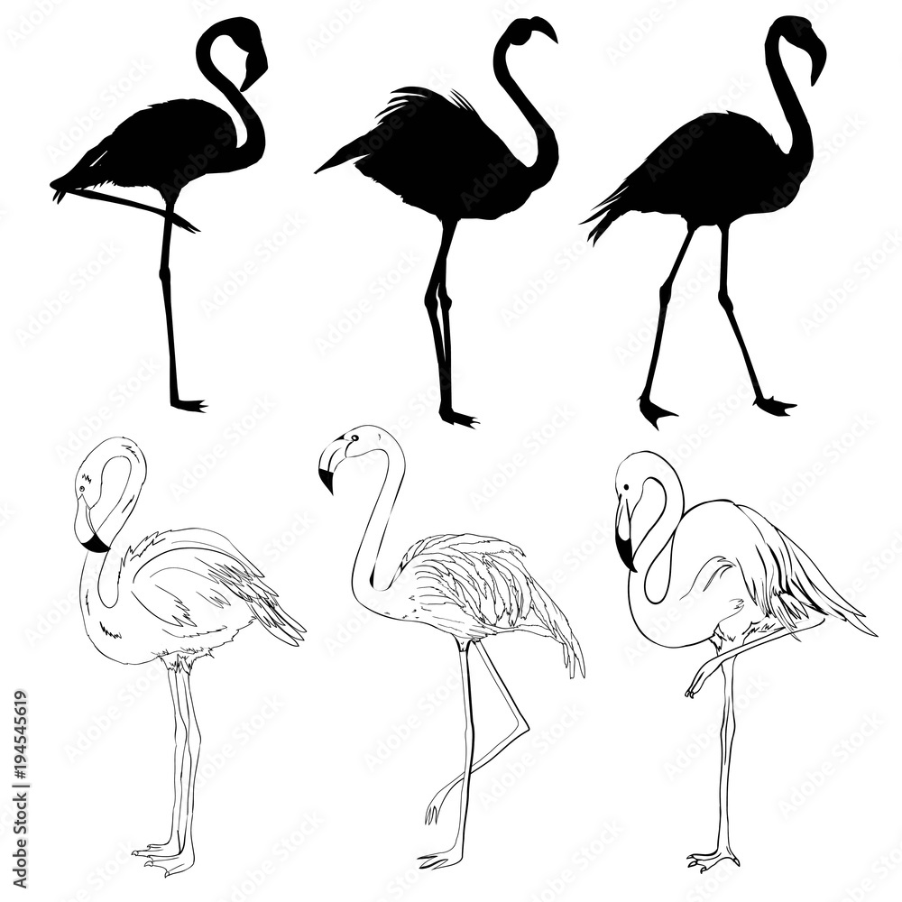Obraz premium illustration with set of seven flamingo silhouettes isolated on white background