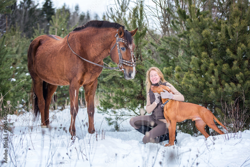 Happy young lady with a horse and pointer dog in winter forest
Happy young lady with a horse and pointer dog in winter forest