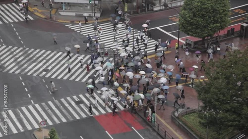 Shibuya station, crossing, crosswalk, Tokyo, Japan