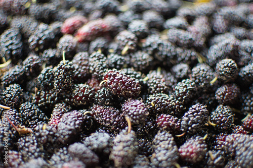 mulberry fruit at sunny day. subject is blurred.