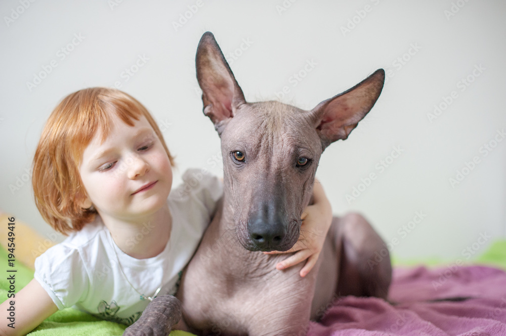 A girl hugs her Mexican Hairless Dog