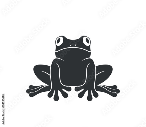 Red eye frog. Tree frog. Isolated frog on white background