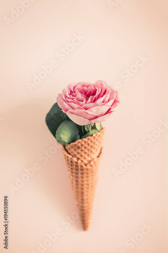 Creative minimalism still life on pastel pink colored background. One waffle cone with rose flower and eucaliptus from above. Copy space for text, vertical