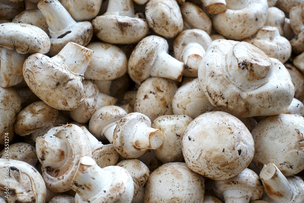 Close-up of mushrooms on the counter. Pile of champignons as a background. Close-up of mushrooms on the counter. Pile of champignons as a background.