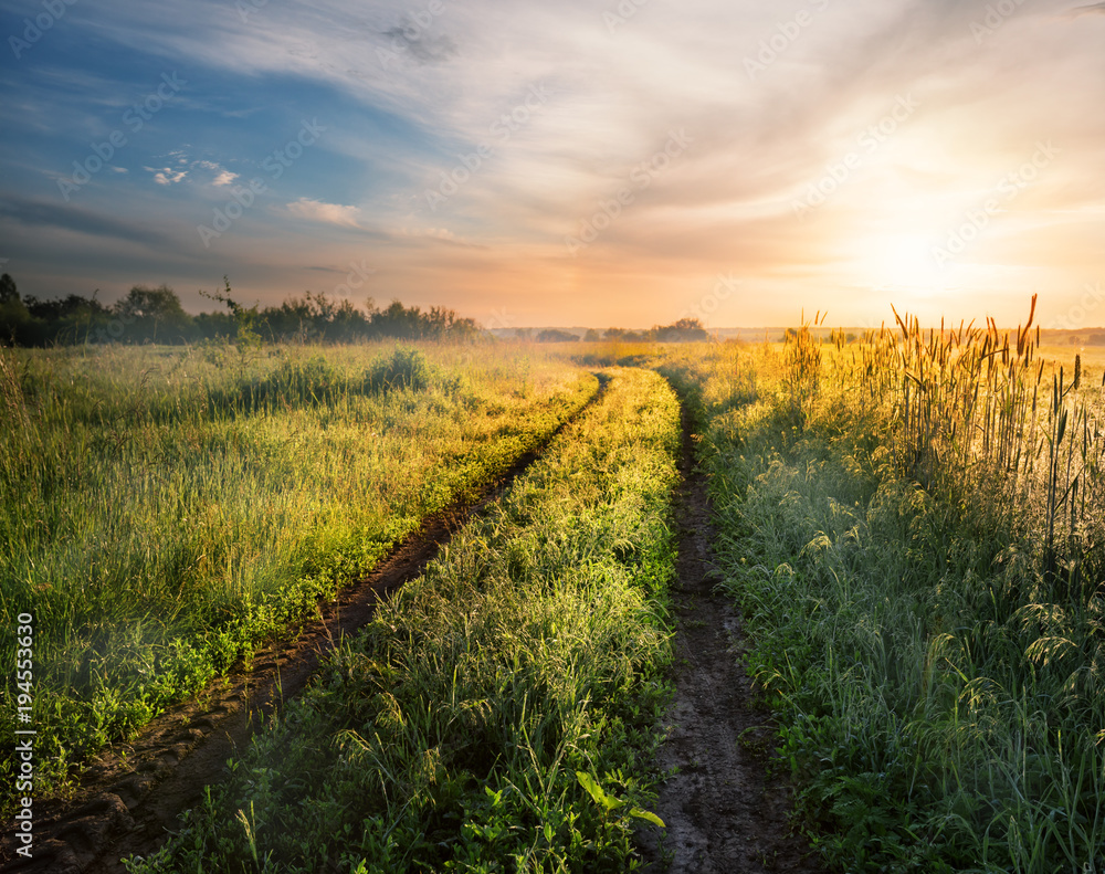 Obraz premium Country road in field with green grass at sunset