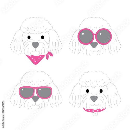 Cartoon cute fashion white poodle dog vector.