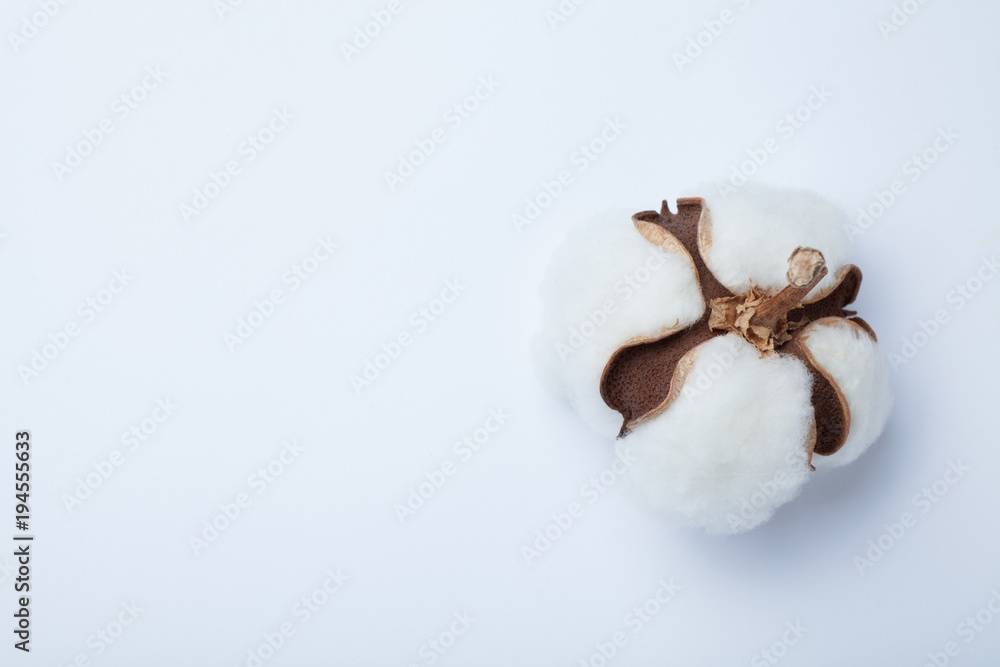 Natural piece of cotton on a white background. Copy space. Natural piece of cotton on a white background. Copy space.