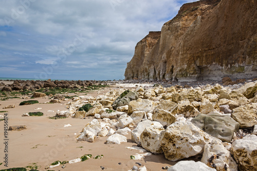 Deserted beach with high limestone cliffs and stones covered with green seaweed near Etretat at low tide, France