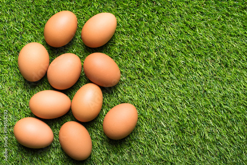 Chicken eggs on the green grass