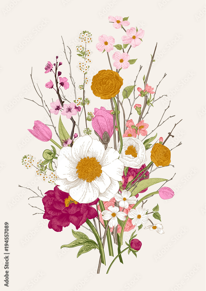 Fototapeta premium Bouquet. Spring Flowers and twig. Peonies, Spirea, Cherry Blossom, Dogwood. Vintage botanical illustration. Colorful