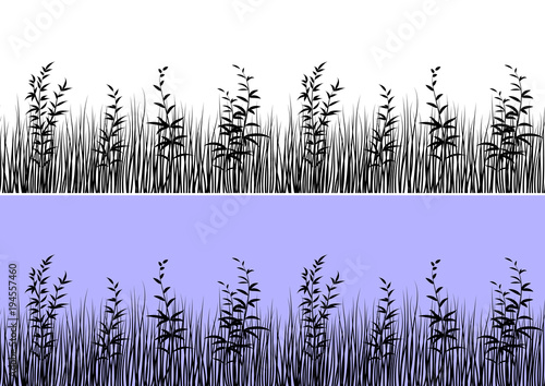 Line Seamless Landscape with Black Silhouette Grass  Isolated on White and Color Background  Element for Your Design. Vector