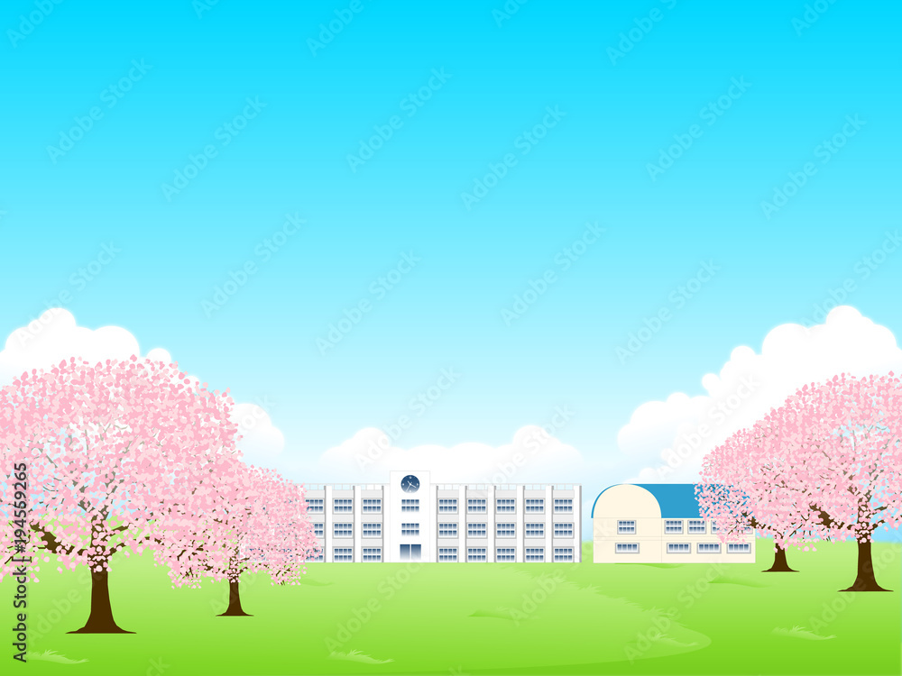 桜　春　花　背景 