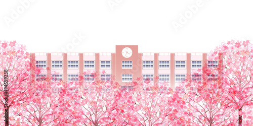 桜　春　花　背景 