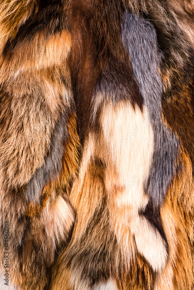 Naklejka premium Nahaufnahme Pelz