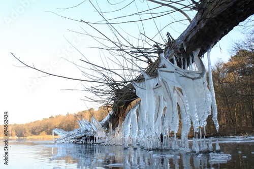 Eiszeit an der Berliner Havel (1. März 2018) photo