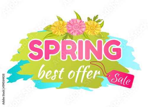 Best Offer Spring Sale Advertisement Daisy Flowers