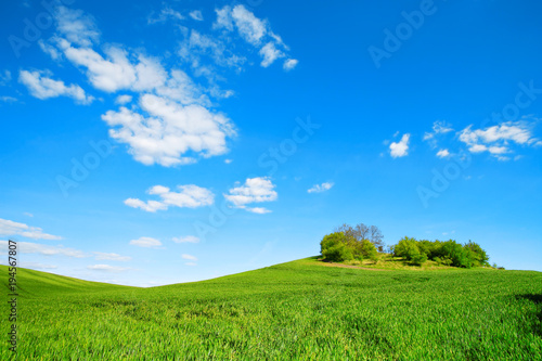 Green Fields, Rolling Hills, Spring Landscape under Blue Sky