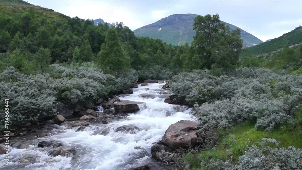 Wild water stream in Norway Wild water stream in Norway