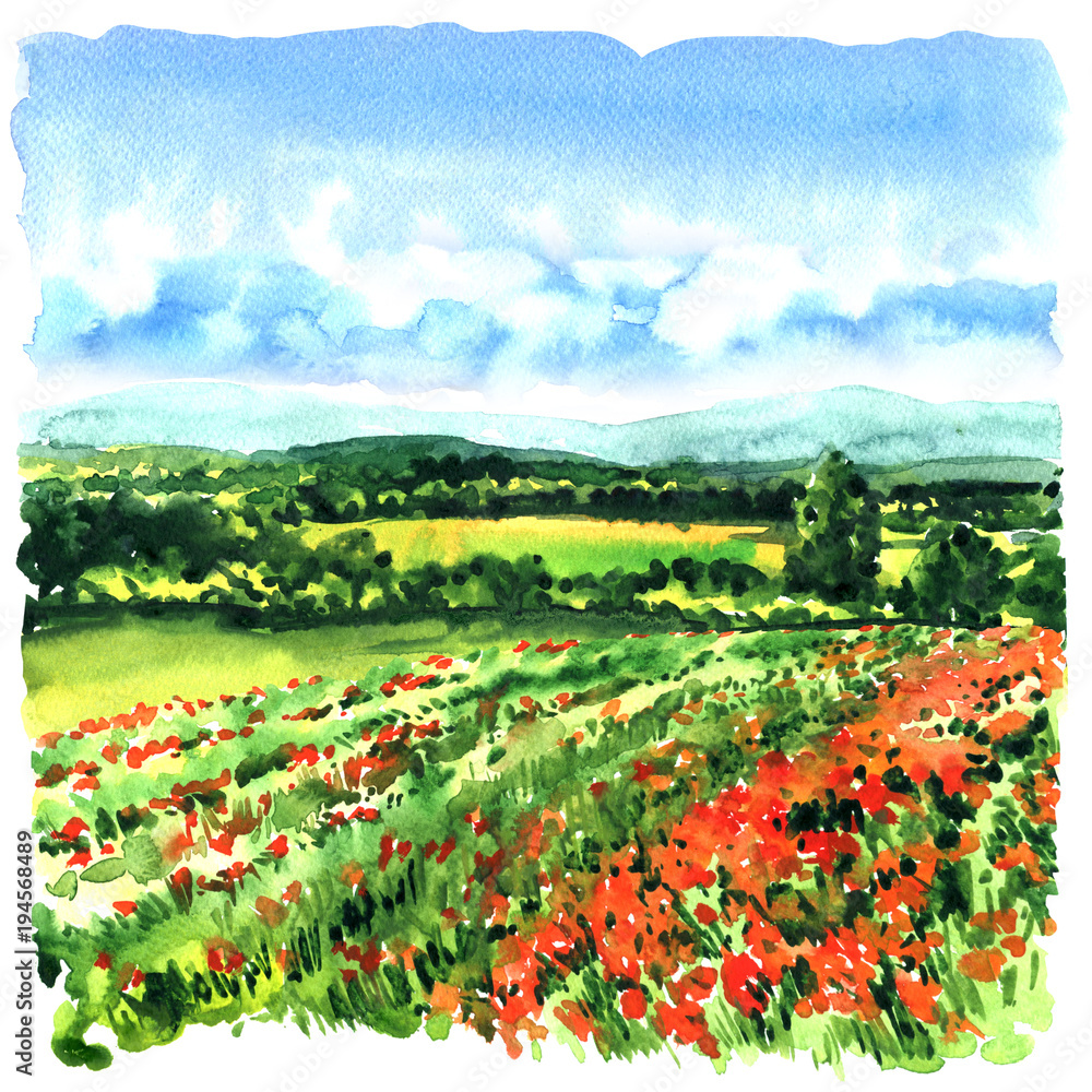 Beautiful meadow with green grass, red poppies, wild flowers. Tuscany, Italy. Poppies field. Watercolor illustration Beautiful meadow with green grass, red poppies, wild flowers. Tuscany, Italy. Poppies field. Watercolor illustration