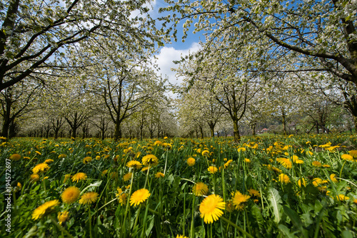 Frühling