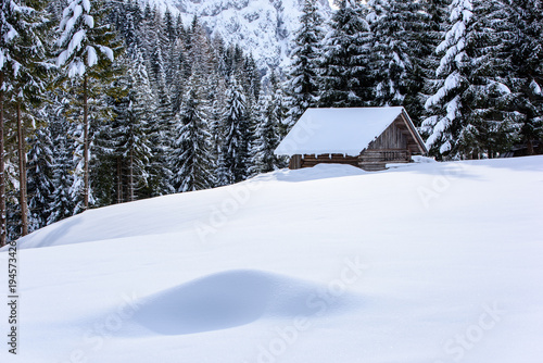 Landscape in the snow. Sappada © Nicola Simeoni