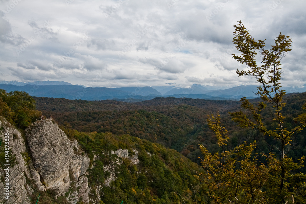 Naklejka premium panorama of mountains covered with forest against the sky with clouds