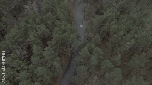 aerial photography of the road in the forest. There are many trees, lots of greenery photo