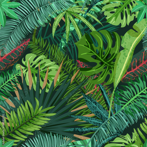 Fototapeta Naklejka Na Ścianę i Meble -  Vector seamless pattern with green tropical palm, monstera leaves. Nature background. Summer or spring trendy design elements for fashion textile prints and greeting cards.